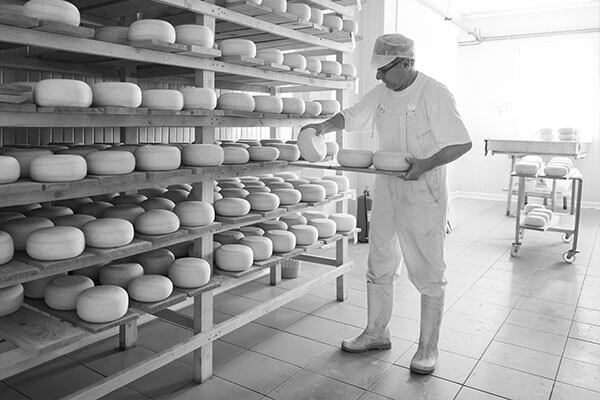 cheese-factroy